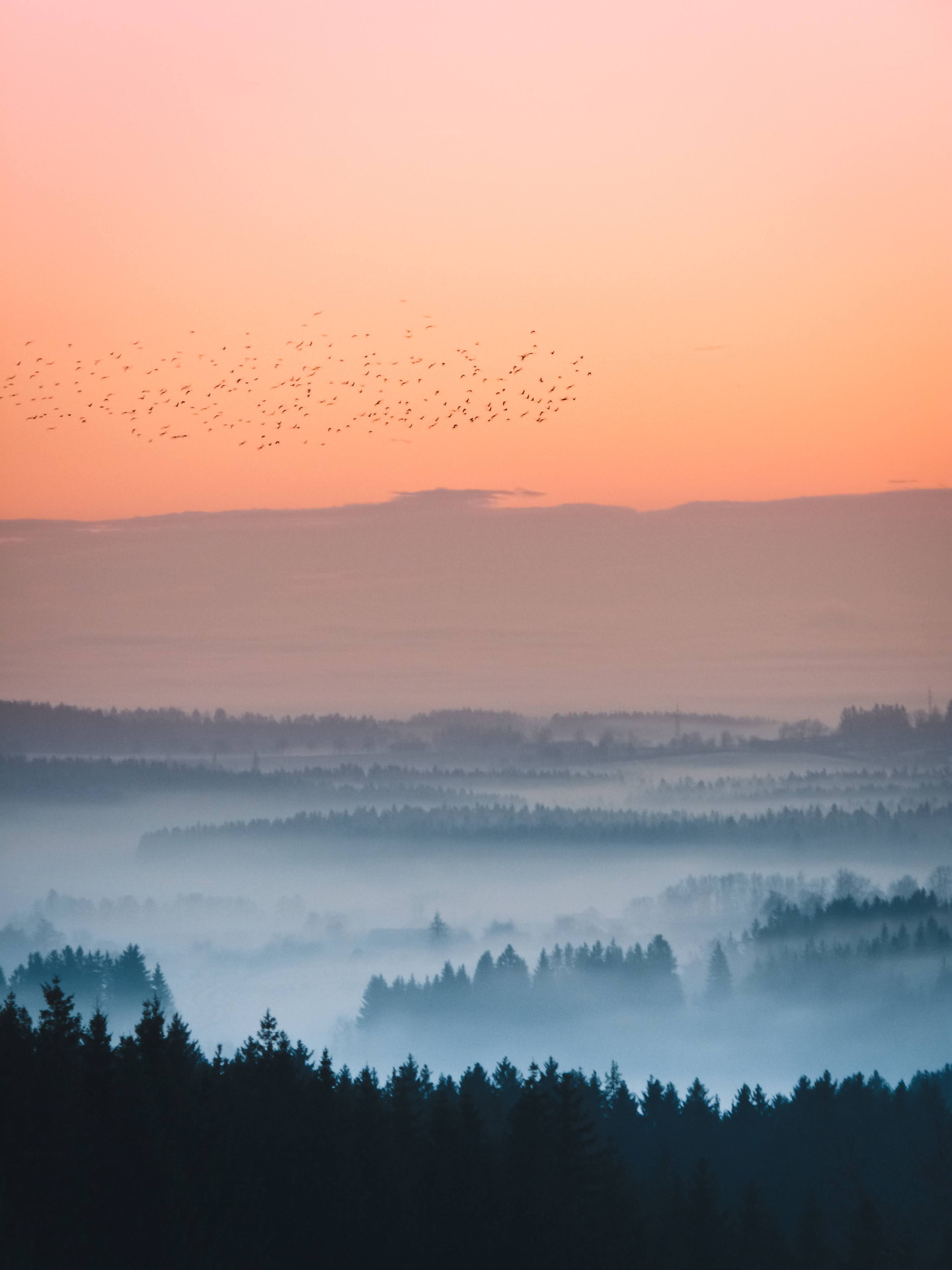 Mlhami zalitá krajina pod Sklenským vrchem, autor: Jimmy Jazz